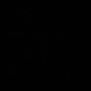 Meet your Posher, Ryley